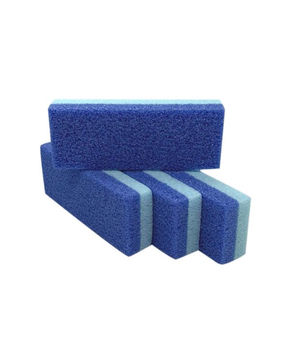 pumice stone